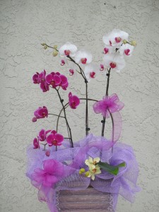 Purple and White Orchids with Spring Accented Decor 