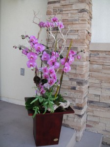 Large Purple Orchid Plant 